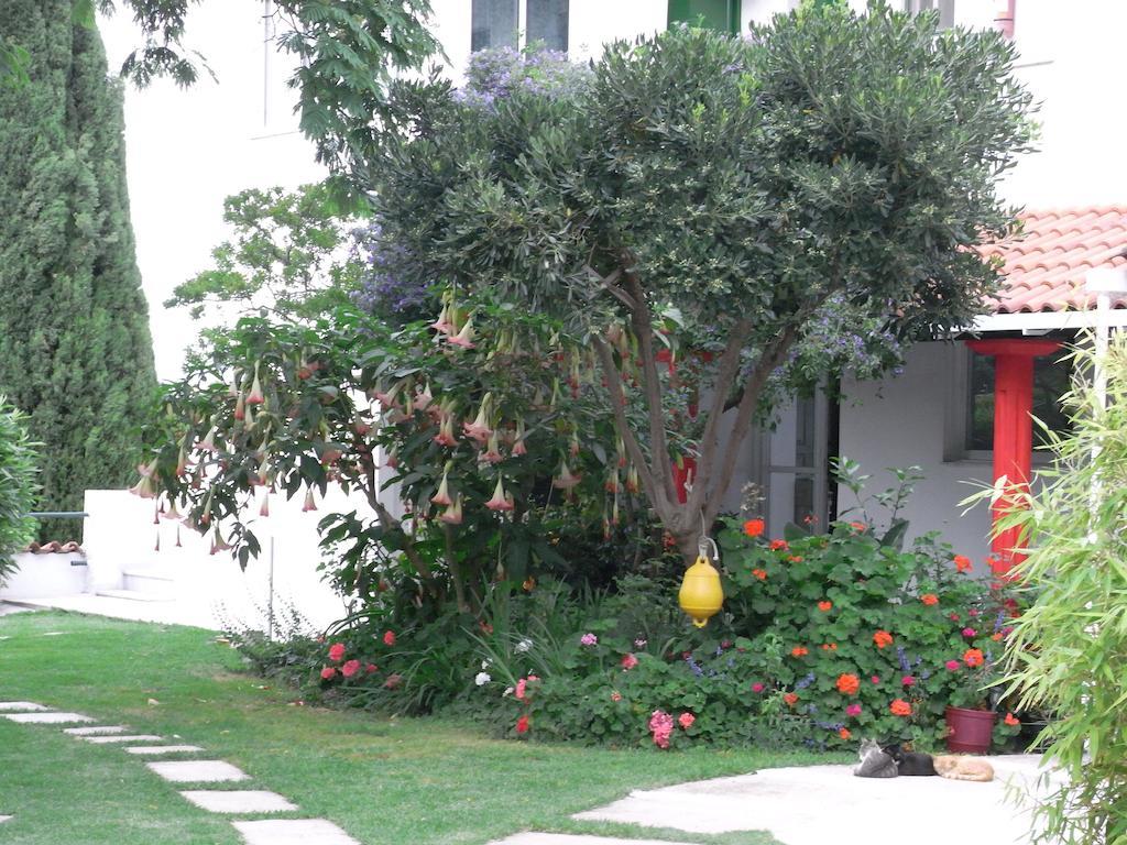 Villa Yiannis (Adults Only) Megali Ammos  Ngoại thất bức ảnh